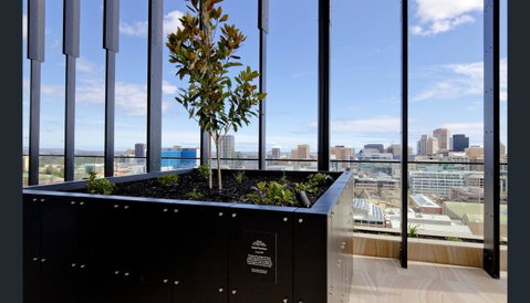 ONE Adelaide CBD - Accommodation Yamba 33
