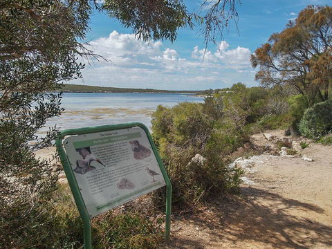 Willygunyah - Accommodation Yamba 31