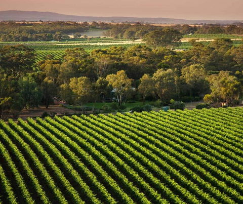 The Reserve Barossa Valley - Accommodation Yamba 1