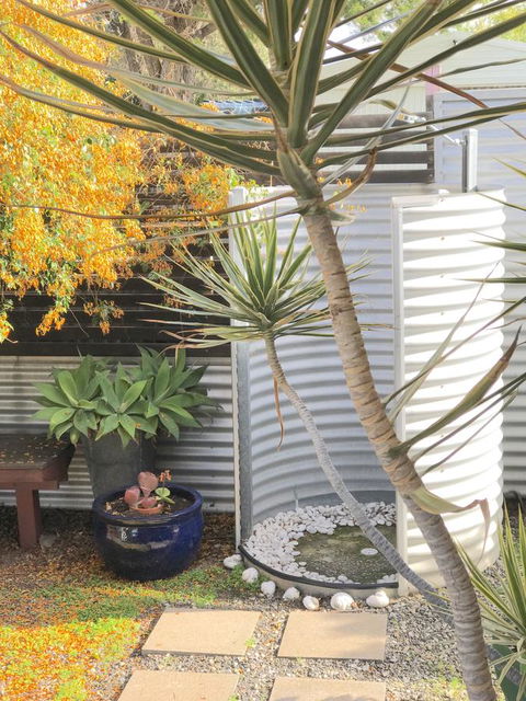 Milly\'s Middleton - Pet-friendly - Accommodation Yamba 23