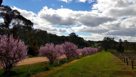 D2 At Watervale - Accommodation Yamba 22
