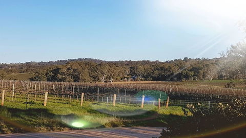 D2 At Watervale - Accommodation Yamba 23