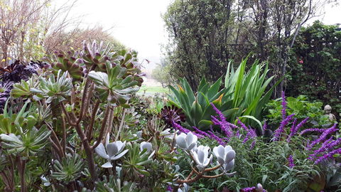 Linger Longer Vineyard - Accommodation Yamba 15