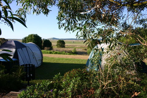 Millicent Hillview Caravan Park - Accommodation Yamba 43