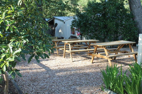 Millicent Hillview Caravan Park - Accommodation Yamba 9