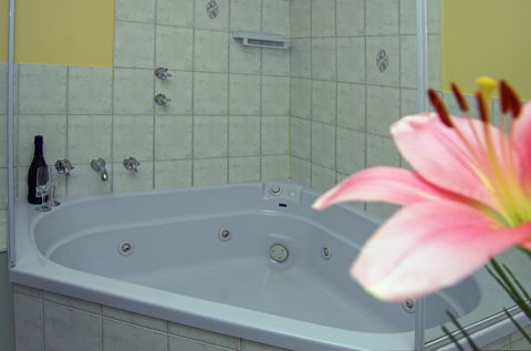 Victoria Hotel Strathalbyn - Accommodation Yamba 15
