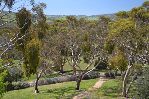 Shiraz Cottage - Accommodation Yamba 9