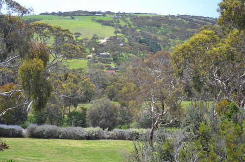 Shiraz Cottage - Accommodation Yamba 8