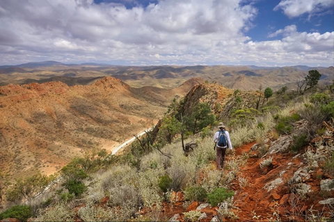 Arkaroola Wilderness Sanctuary - Accommodation Yamba 4