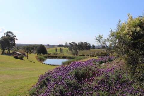 Beltana Villas - Accommodation Yamba 7