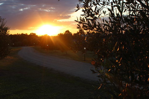 Beltana Villas - Accommodation Yamba 26