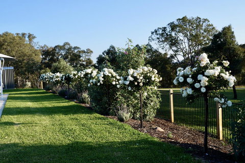 Beltana Villas - Accommodation Yamba 2