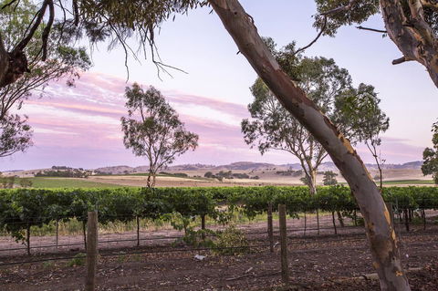 Jasmine\'s Barossa Valley Cottage - Accommodation Yamba 19