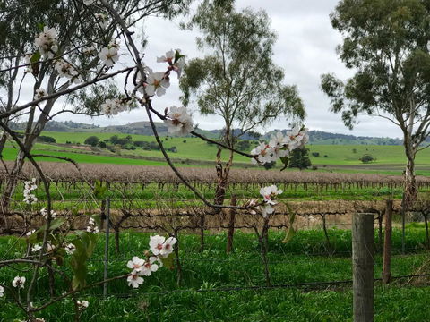 Jasmine\'s Barossa Valley Cottage - Accommodation Yamba 20
