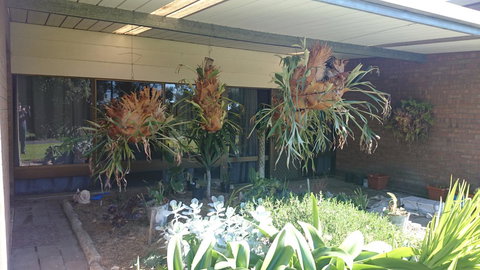 Hilltop Escape - Accommodation Yamba 11