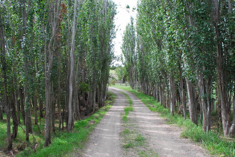 Back Valley Farmstay Bed And Breakfast - Accommodation Yamba 2