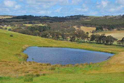 Back Valley Farmstay Bed And Breakfast - Accommodation Yamba 19