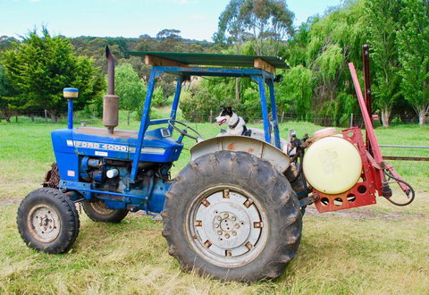 Back Valley Farmstay Bed And Breakfast - Accommodation Yamba 14