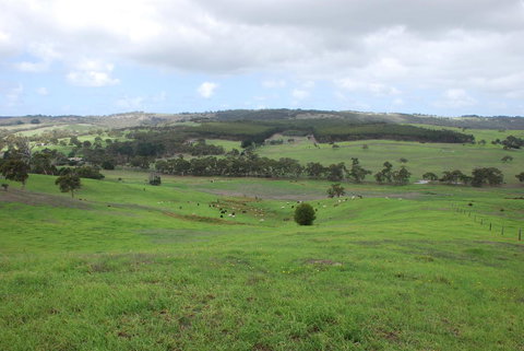 Back Valley Farmstay Bed And Breakfast - Accommodation Yamba 15