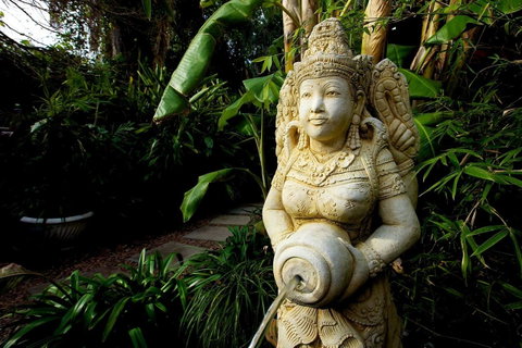 The Lotus Eater - Accommodation Yamba 18