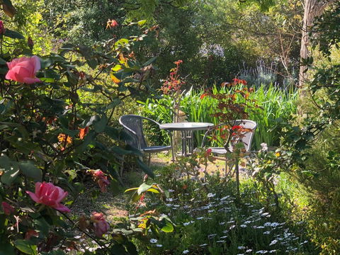 Treasured Memories Cottage - Accommodation Yamba 17