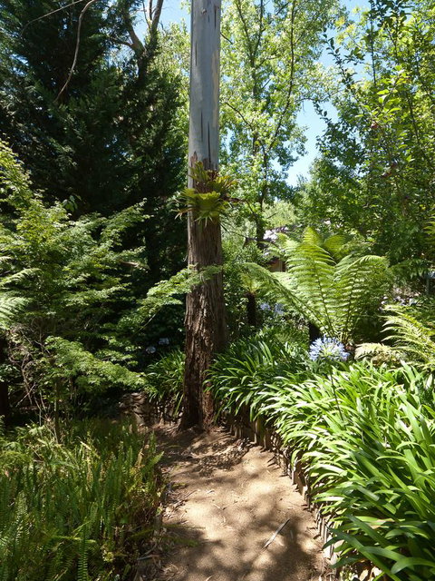 Aldgate Creek Cottage Bed And Breakfast - Accommodation Yamba 27