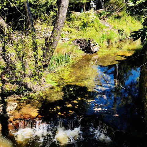 Aldgate Creek Cottage Bed And Breakfast - Accommodation Yamba 22