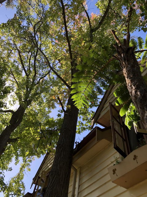 Aldgate Creek Cottage Bed And Breakfast - Accommodation Yamba 8