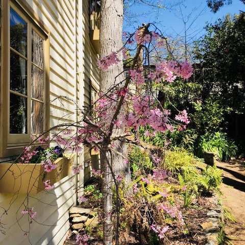 Aldgate Creek Cottage Bed And Breakfast - Accommodation Yamba 19