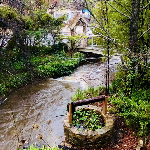 Aldgate Creek Cottage Bed And Breakfast - Accommodation Yamba 23