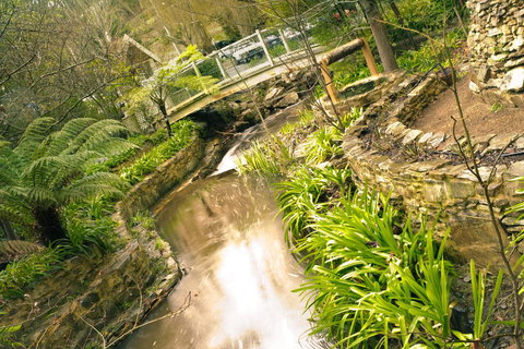 Aldgate Creek Cottage Bed And Breakfast - Accommodation Yamba 17