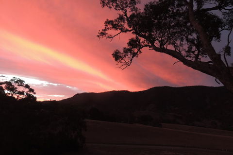 Wozza's B&B - Accommodation Yamba 5