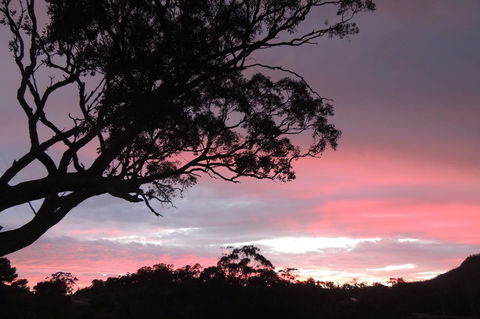 Wozza's B&B - Accommodation Yamba 3