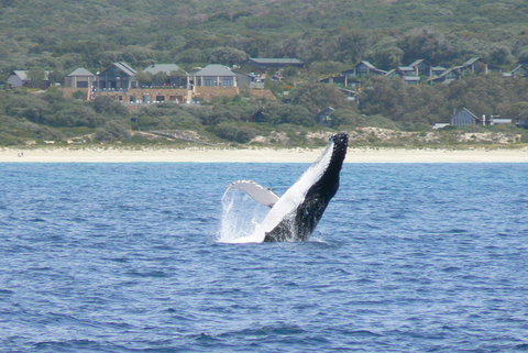 Pullman Bunker Bay Resort Margaret River - Accommodation Yamba 25