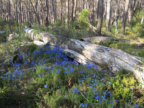 Simala Retreat - Accommodation Yamba 1