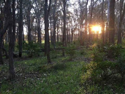 Simala Retreat - Accommodation Yamba 4