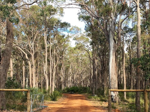 Simala Retreat - Accommodation Yamba 6