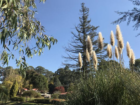 Forest Lodge Resort - Accommodation Yamba 24