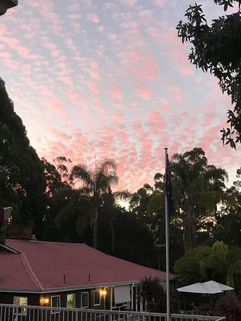 Forest Lodge Resort - Accommodation Yamba 44