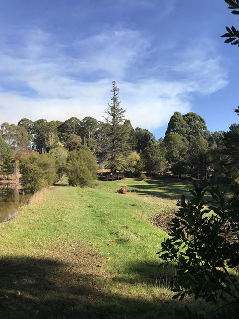 Forest Lodge Resort - Accommodation Yamba 31