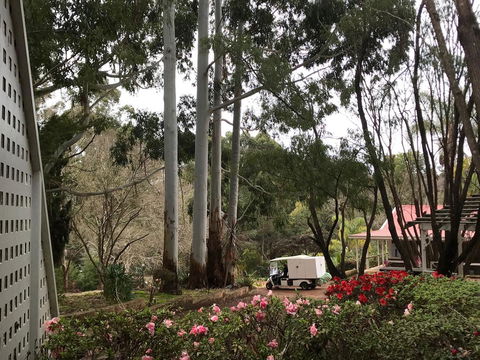 Forest Lodge Resort - Accommodation Yamba 11