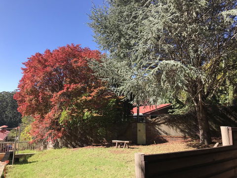 Forest Lodge Resort - Accommodation Yamba 42