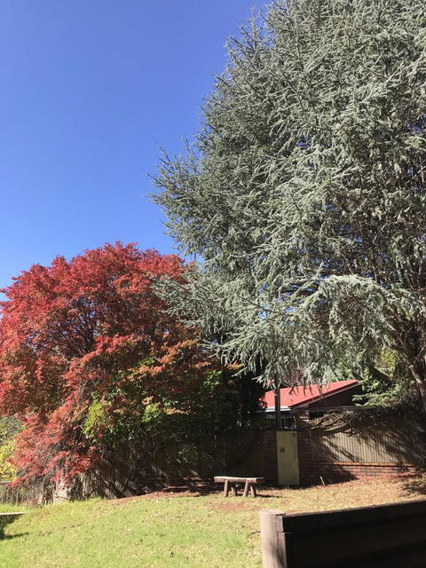 Forest Lodge Resort - Accommodation Yamba 35