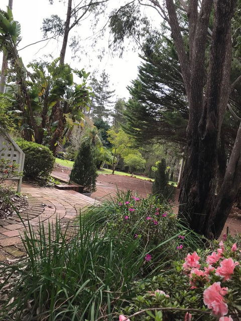 Forest Lodge Resort - Accommodation Yamba 10