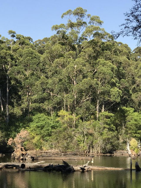 Forest Lodge Resort - Accommodation Yamba 22
