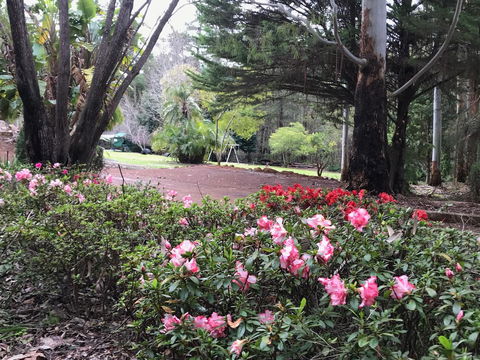 Forest Lodge Resort - Accommodation Yamba 12