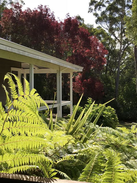 Forest Lodge Resort - Accommodation Yamba 14