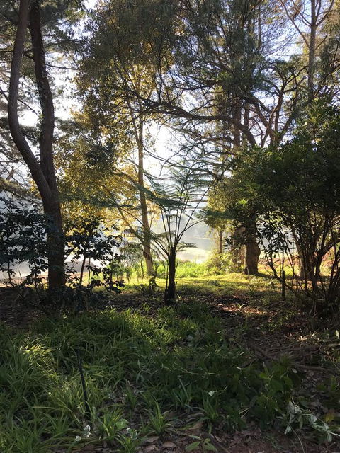 Forest Lodge Resort - Accommodation Yamba 33