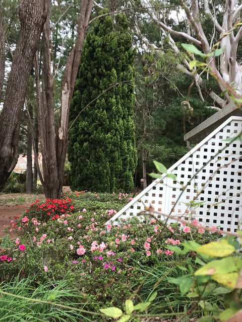 Forest Lodge Resort - Accommodation Yamba 7