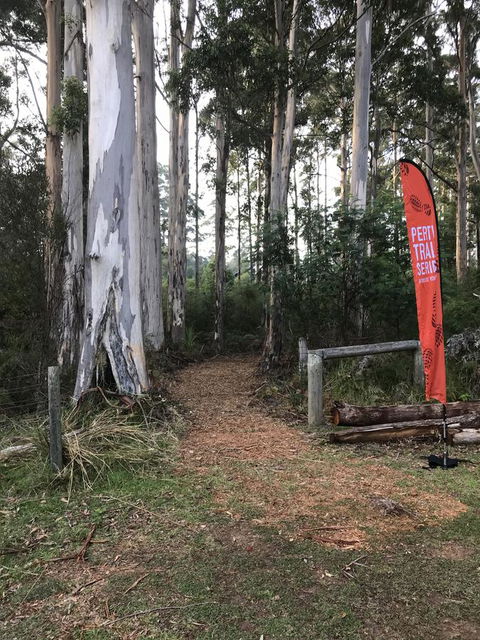 Forest Lodge Resort - Accommodation Yamba 28